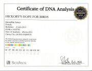 Certificate_DNA - Benelli.jpg